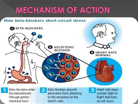 what does a beta blocker do|Calcium channel blockers .
